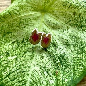 Caladium earrings